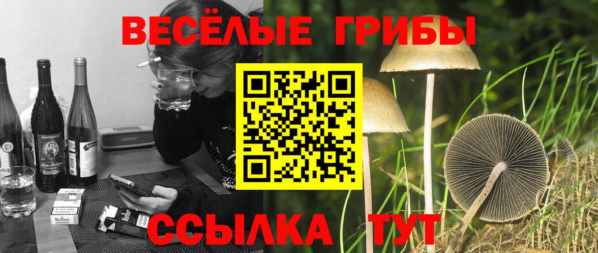 Кудымкар  Псилоцибиновые грибы мухоморы  Вход с VPN  Галлюциногенные грибы мухоморы 