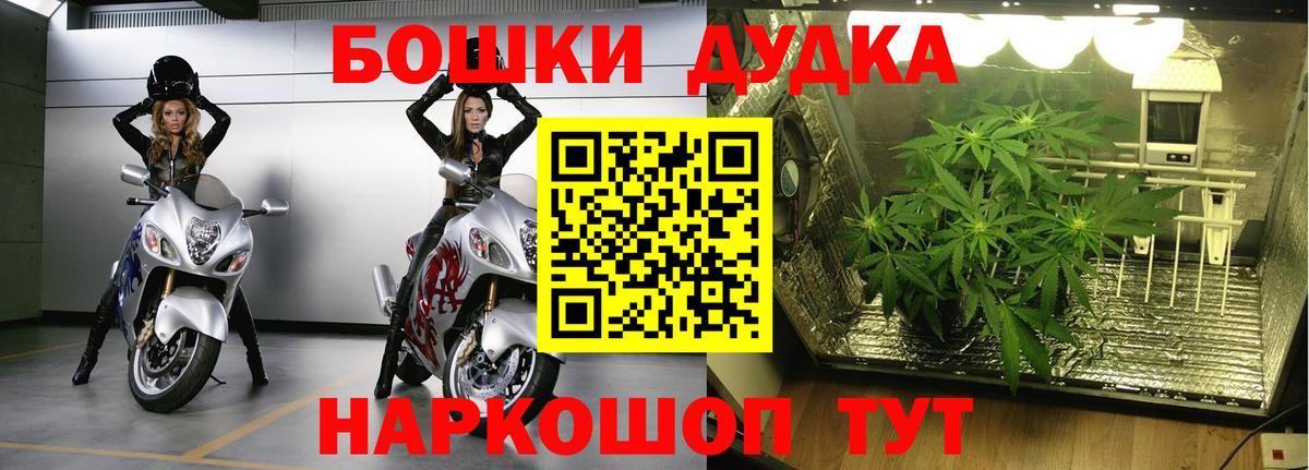 Бошки Шишки сатива Кудымкар